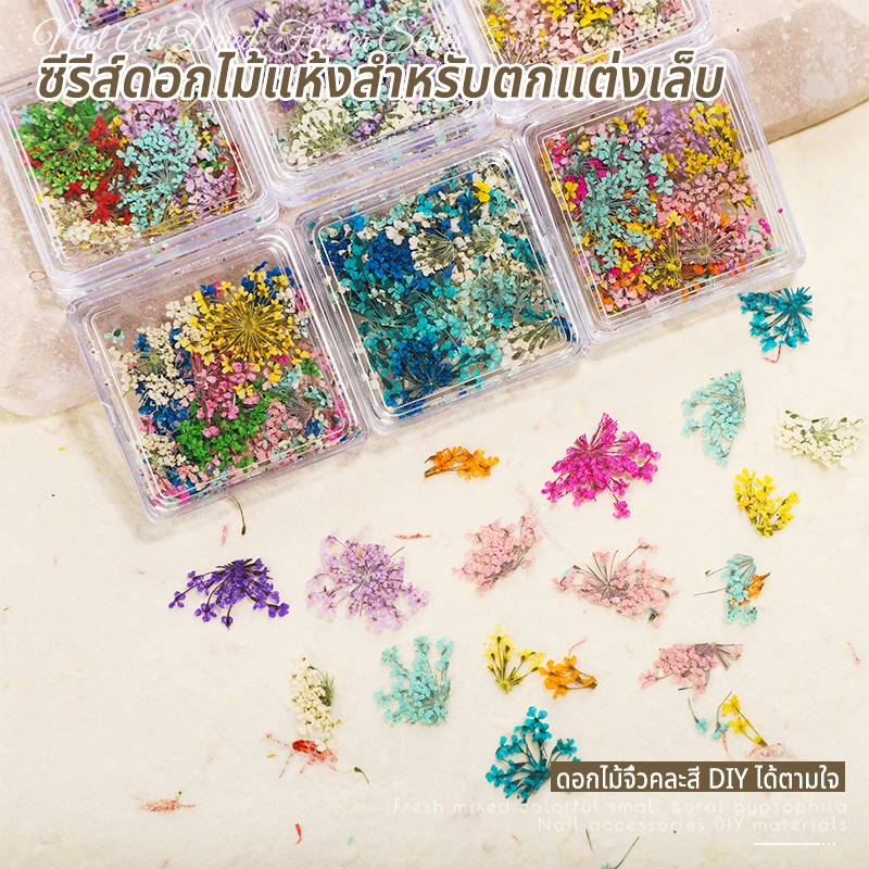 Nawoelite อุปกรณ์ตกแต่งเล็บ ดอกไม้สำหรับทำเล็บ ลายดอกไม้ ดอกไม้แห้งสำหรับทำเล็บ บรรจุในกล่องสี่เหลี่ยม สีสวยธรรมชาติ