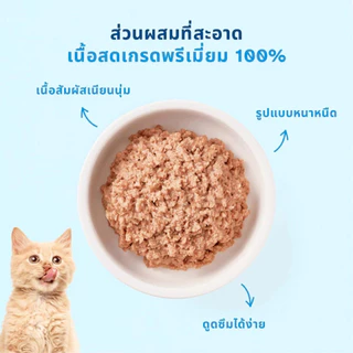 [ยกโหล 12 ซอง-ยกลัง 48 ซอง] MR.VET อาหารแมวเปียก ขนาด 70g สูตรบำรุงสุขภาพ โปรตีนสูง ไม่ปรุงรส เหมาะกับแมวทุกวัย