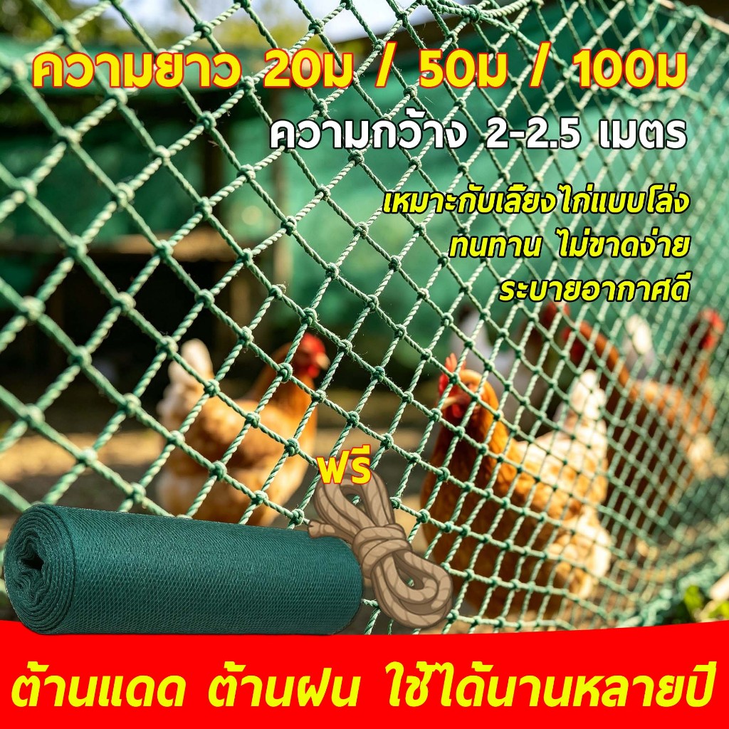 ตาข่ายปลูกผัก ตาข่ายกันนก ตาข่ายกันนก ตาข่ายกันนก ตาข่ายดักปลา ทนทาน 10 ปี กันนกสวน จัดส่งภายใน 24 ชั่วโมง