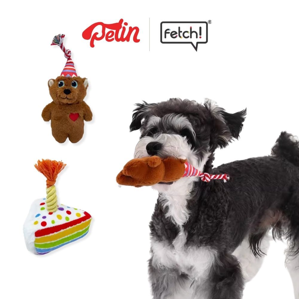 Fetch ของเล่นสุนัข Happy Birthday ตุ๊กตาสุนัขจิ๋ว
