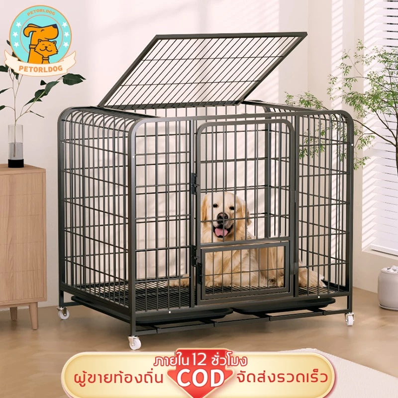 ðPetorldog āļāļĢāļāļŠāļļāļāļąāļāđāļŦāļāđ āļāļēāļĒāļāļĩ āļĨāđāļāđāļĨāļ·āđāļāļ 4 āļĨāđāļ āđāļāđāļāđāļĢāļāļāļīāđāļĻāļĐ āļāļĢāđāļāļĄāļāļēāļāļĢāļāļ āļāļāļāļēāļ āļŠāļļāļāļąāļāļāļąāļāļāļļāđāđāļŦāļāđ