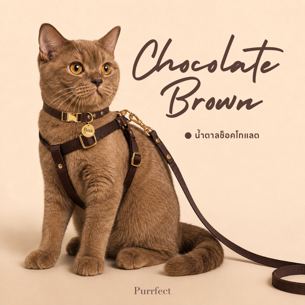 ปลอกคอสี Chocolate Brown ไซส์ S สำหรับสุนัข หมา แมว และสายจูงสุดหรู พร้อมจี้สลักชื่อ  **ใช้เวลาไม่เกิน1-4วันจัดส่ง