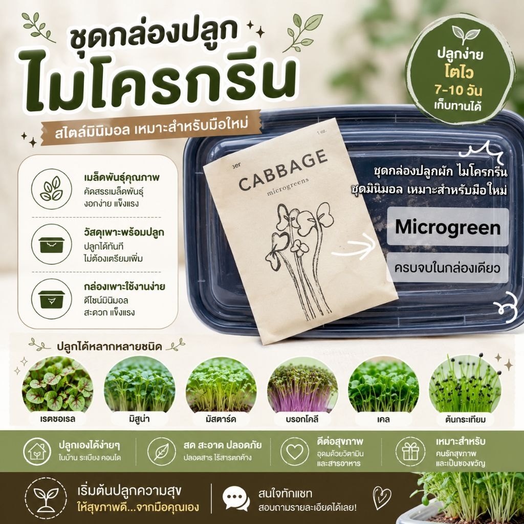 กล่องปลูกผักไมโครกรีน ราคาถูก  ชุดทดลองปลูก สำหรับมือใหม่