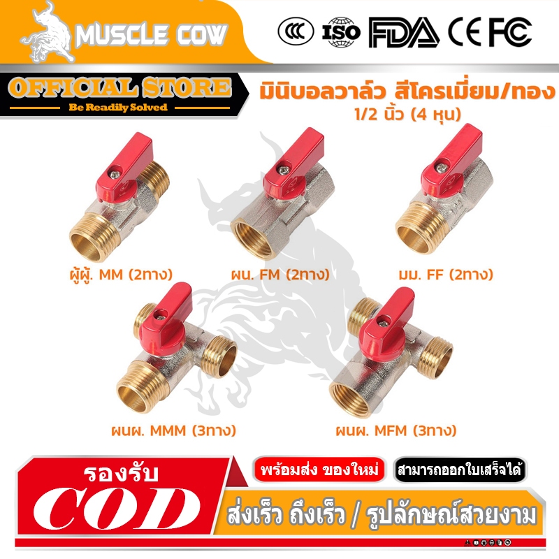 MUSCLE COW มินิบอลวาล์วทองเหลือง 1/2 นิ้ว หลากหลายเกลียว สีโครเมียม/ทอง มือจับสีแดง แข็งแรง ทนทาน เหมาะสำหรับงานน้ำ