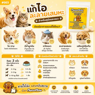 mucoflow เสริมอาหาร สุนัข แมว ไอ หวัด จาม น้ำมูกข้น (สีเหลือง)