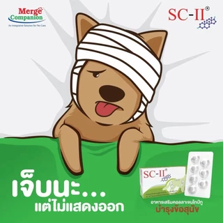 SC-II joint อาหารเสริมบำรุงข้อ สำหรับสุนัข 1 กล่อง บรรจุ 28 เม็ด
