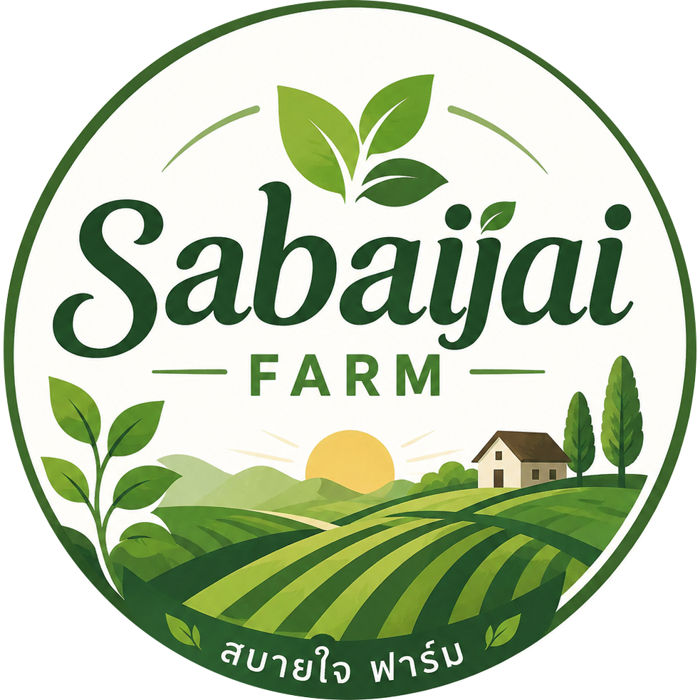 เมล็ดพันธุ์สดใหม่ส่งตรง｜รับประกันคุณภาพ｜ซื้อได้อย่างมั่นใจ |ใส่ใจในทุกเมล็ดพันธุ์｜ทั้งคุณภาพและการบริการที่ยอดเยี่ยม