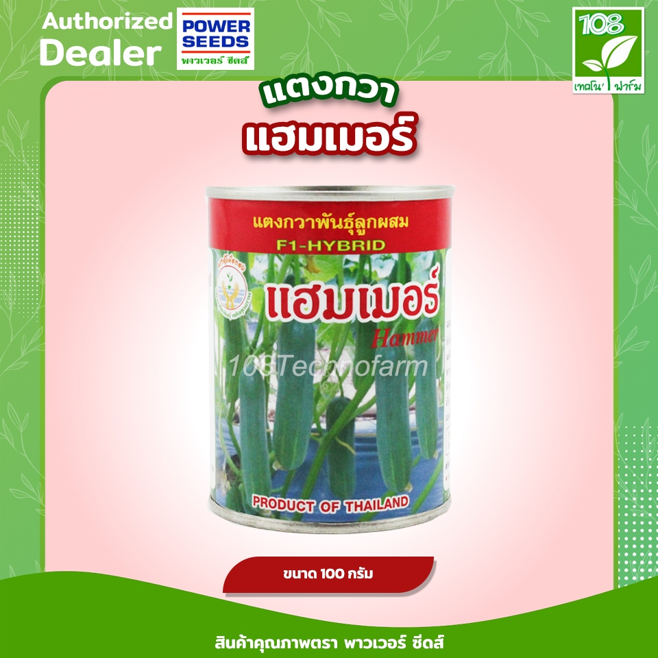 เมล็ดพันธุ์ แตงกวา แฮมเมอร์ ตรา อุ้งมือทอง ( 100 กรัม )