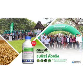 ลอแยนต์ ขนาด 800 ซีซี ฟลอร์ไพรอซิเฟน-เบน สารใหม่ กำจัดหญ้าใบแคบ ใบกว้าง กก หญ้าข้าวนก หญ้าแดง ผักปอด หนวดปลาดุก ข้าวไม่แ