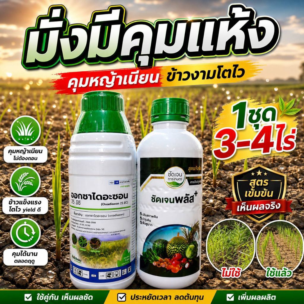 ชุดมั่งมีคุมแห้ง/1ชุด 3-4ไร่🌾คุมหญ้าเนียน ข้าวงามโตไว เห็นผลจริง🔥 สูตรเด็ดสำหรับ “นาหว่านข้าวแห้ง”ช่วยคุมเมล็ดหญ้าได้ดี