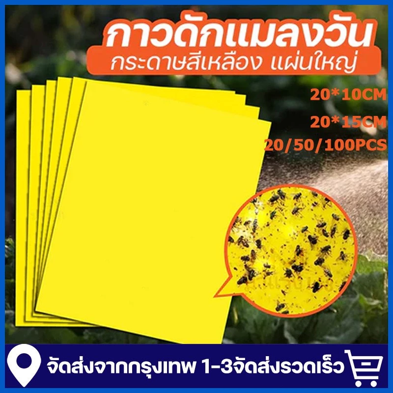 100 ชิ้น แผ่นสติกเกอร์ดักจับแมลง สองด้าน สําหรับกันยุง พืชในสวน ดักแมลงศัตรูพืช กาวดักแมลงวันทอง
