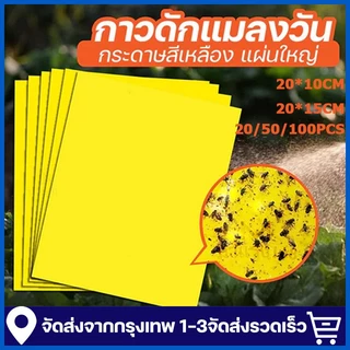 100 ชิ้น แผ่นสติกเกอร์ดักจับแมลง สองด้าน สําหรับกันยุง พืชในสวน ดักแมลงศัตรูพืช กาวดักแมลงวันทอง