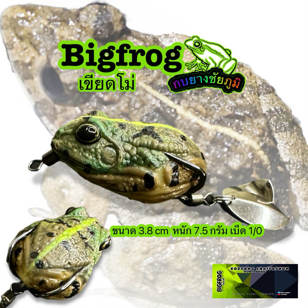 เขียดโม่,(bigfrog),เหยื่อปลอม,กบยาง