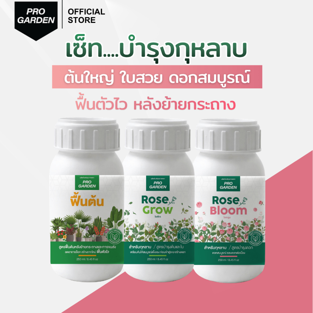 Progarden เซตบำรุงกุหลาบ [ฟื้นต้น + Grow + Bloom] ฟื้นต้นไวหลังย้ายกระถาง แก้ต้นช็อค เร่งราก ปุ๋ยกุหลาบ อะมิโน สาหร่าย
