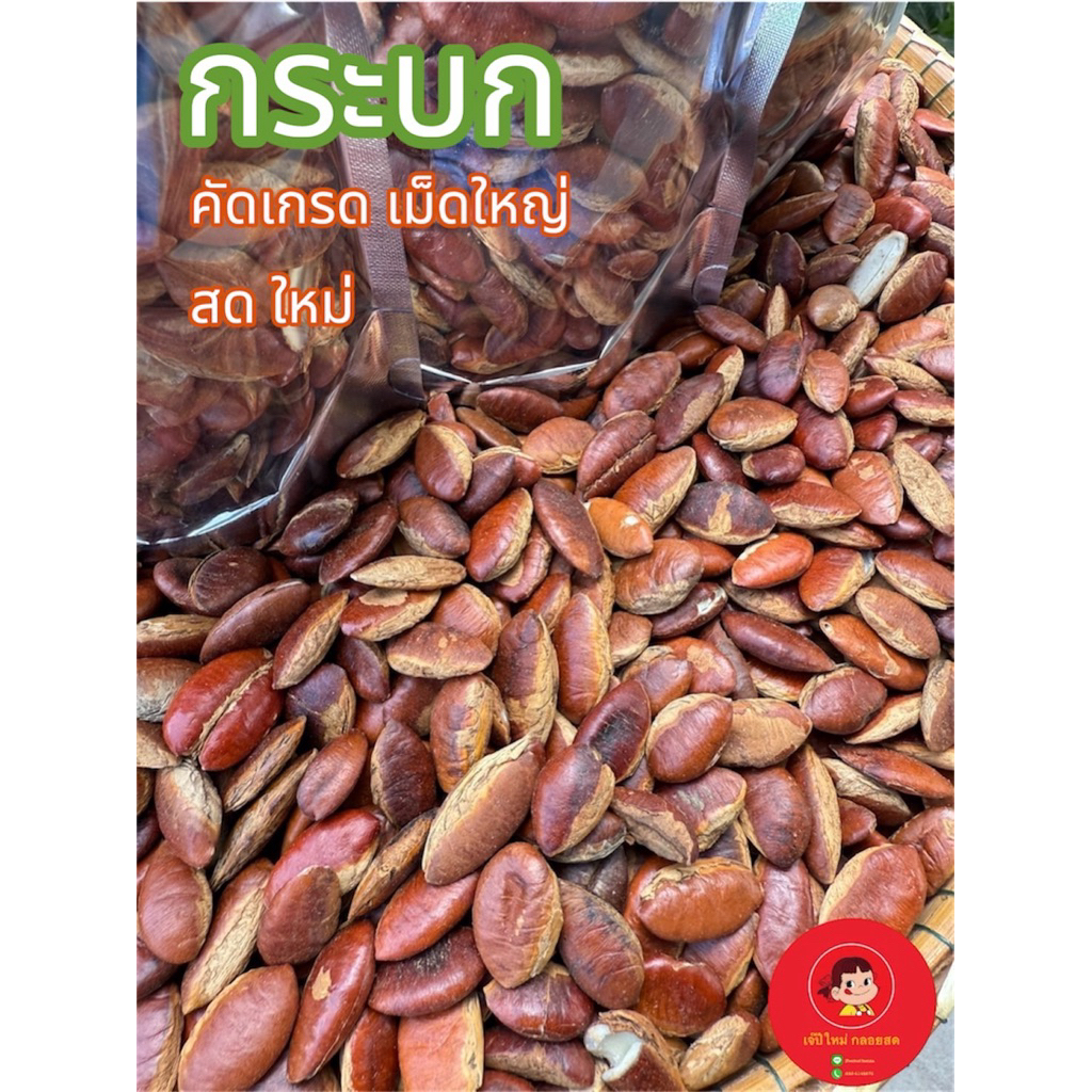 เม็ดกระบกสด เม็ดกระบก เกรดพรีเมี่ยม เม็ดใหญ่ คัดเกรด สดใหม่ บรรจุ500กรัม และ1,000กรัม