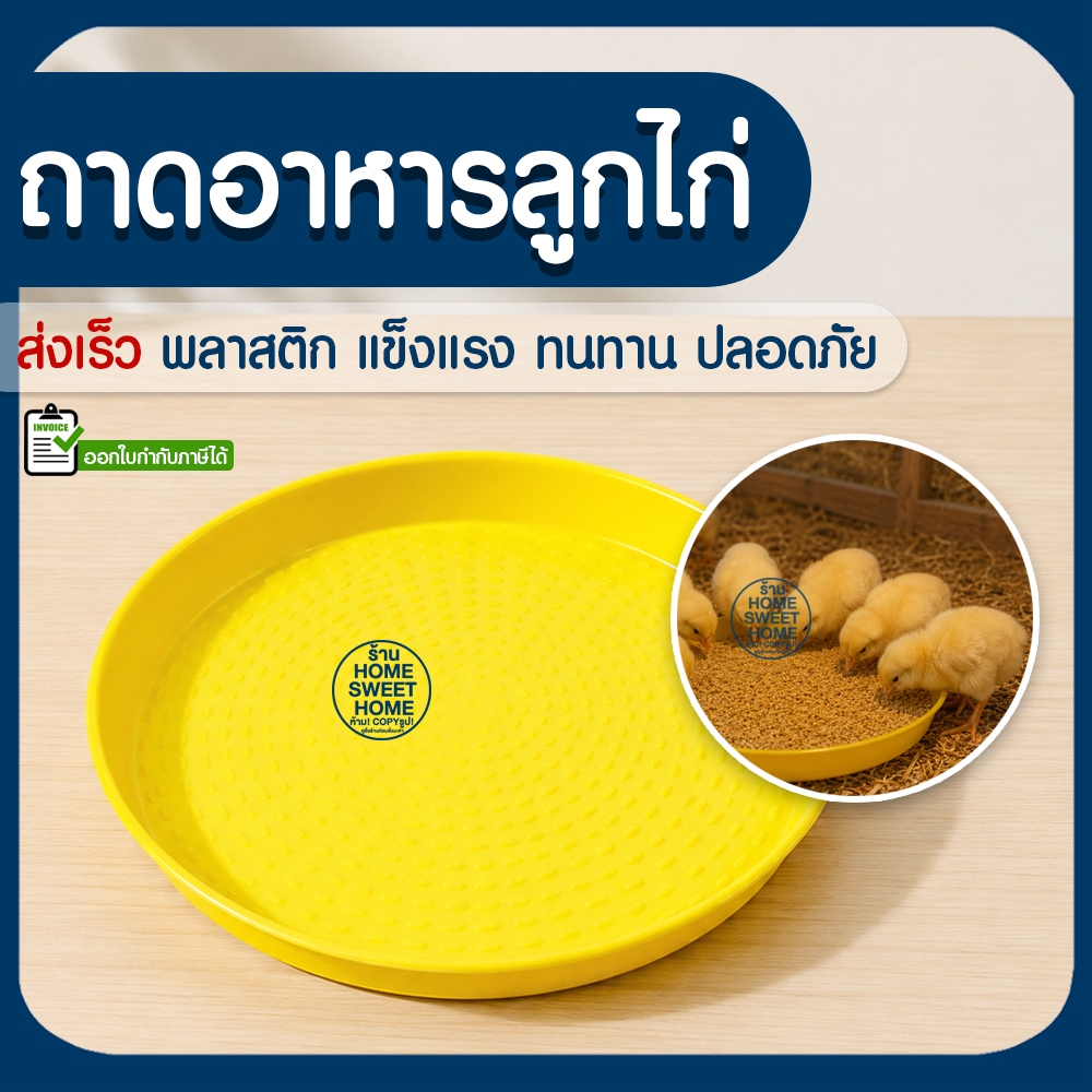 ถาดอาหารลูกไก่ ถาดอาหารไก่ ที่ให้อาหารไก่ ที่ให้อาหารสัตว์ ถาดอาหารสัตว์เลี้ยง เลี้ยงไก่ เลี้ยงสัตว์ สุนัข หมา แมว promo
