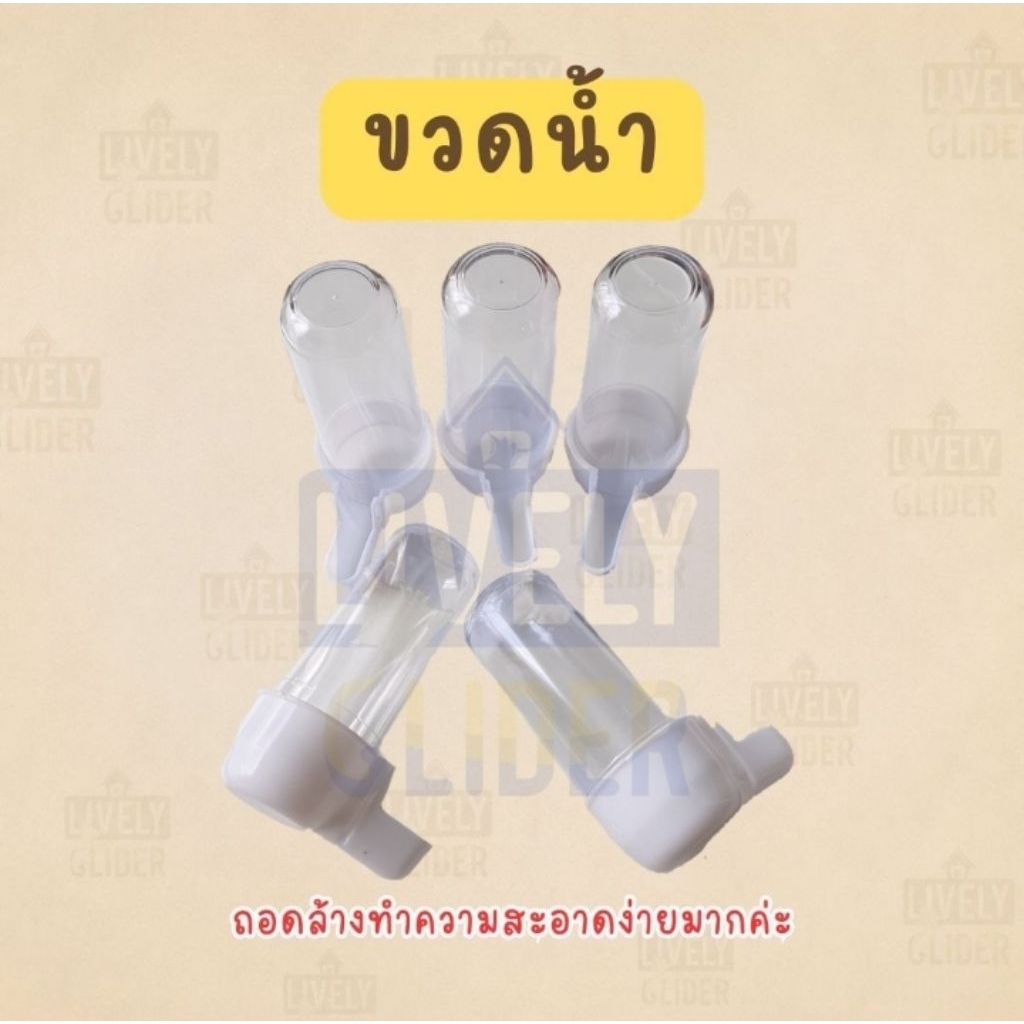 ขวดน้ำ (Pet water bottle)