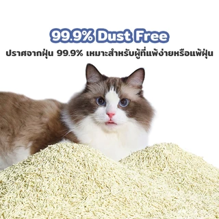 Meowgical × Petcho ✨ทรายแมวเต้าหู้ ออร์แกนิค100% 1.5mm เม็ดเล็ก จับตัวเป็นก้อนไว ดับกลิ่นดี ฝุ่นน้อย ทิ้งชักโครกได้ 10L