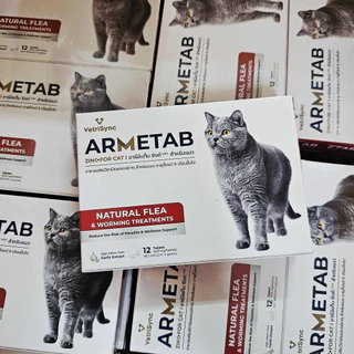 armetab อาร์มีแท็บ ป้องกันหมัดแมว ถ่ายพยาธิแมว 1กล่อง12 เม็ด