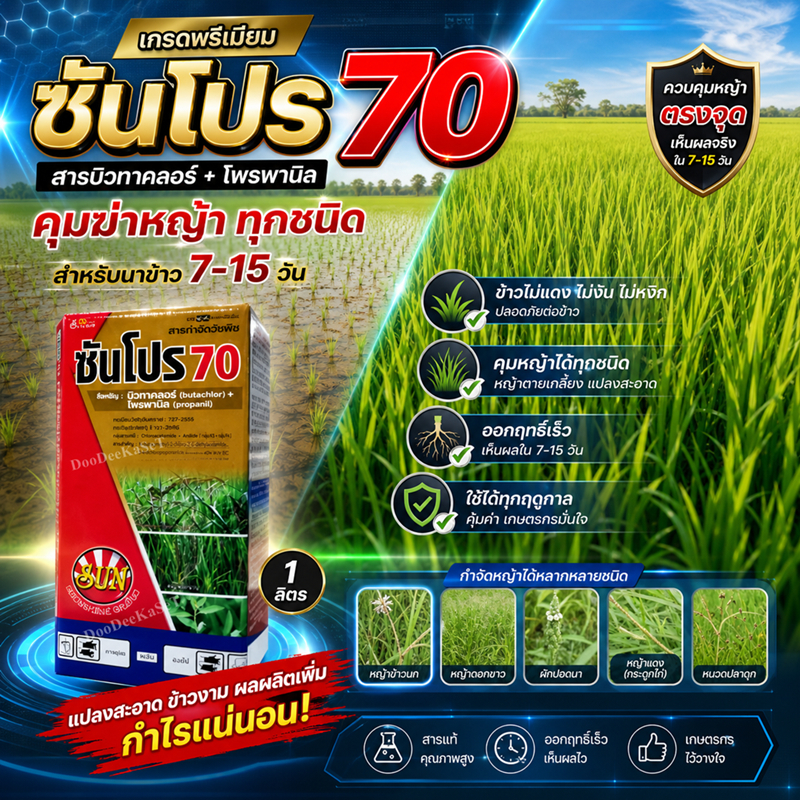 ซันโปร70 ขนาด 1 ลิตร (บิวทาคลอ+โพรพานิล)เนื้อพรีเมียม คุม-ฆ่า วัชพืชในนาข้าวหว่านน้ำตม 7-15 วัน