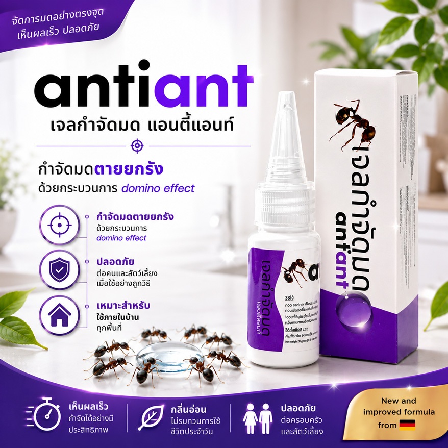 เจลกำจัดมด กำจัดมด ยกรัง สินค้าจัดส่งไว