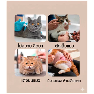 พร้อมส่งในไทย! ที่ครอบหัวแมวกันแมวกัด ป้องกันการกัดและเลีย น้ำหนักเบา ใช้งานง่าย