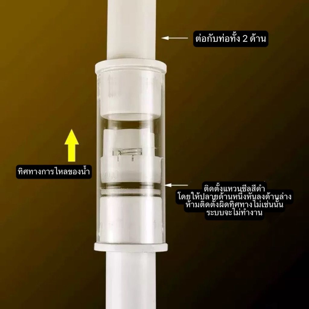 วาร์ลกันย้อนแบบใส ทรงสลิม