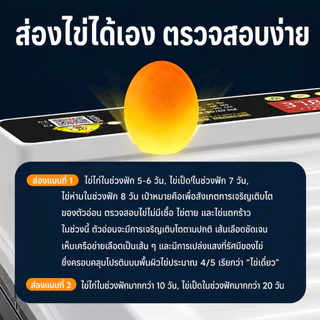 ตู้ฟักไข่ 130 ฟอง ระบบอัตโนมัติเต็มรูปแบบ ควบคุมอุณหภูมิและความชื้น หน้าจอ LED พลิกไข่อัตโนมัติ รองรับฟักไข่หลายชนิด