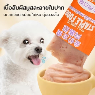 【100PCS】Pet Record ขนมสุนัข 20g เพื่อสุขภาพ มีจุลินทรีย์ สมุนไพร เสริมภูมิคุ้มกัน บำรุงร่างกาย