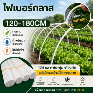 10ชิ้น 4/6/8mm(แท่งกลมตัน) มีให้เลือกหลายขนาด ไม้ค้ำต้นไม้ หลักไม้เลื้อย แพ็คละ GLASS FIBER TUBE