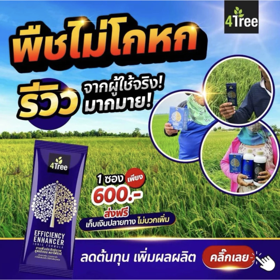 🔥สุดคุ้ม🔥1 ซอง 4tree โฟร์ทรี สารเพิ่มประสิทธิภาพพืช สูตรอิออน ของแท้ 💯% พร้อมส่งตรงจากบริษัท
