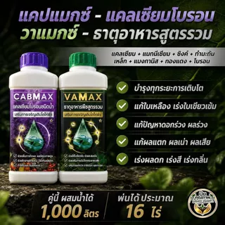 [2แถม2] CabMax+VaMax แคลเซียมโบรอนเข้มข้ม แถม ปุ๋ยธาตุรวม