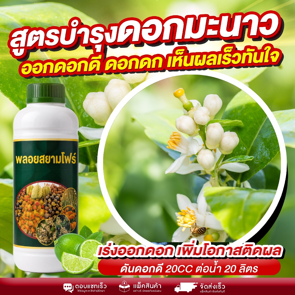 สูตรบำรุงดอกมะนาว ตัวจบเรื่องดอก ออกดอกดี ดอกดก เห็นผลเร็วทันใจ เร่งดอกไว ดอกแน่นเต็มกิ่ง ช่วยกระตุ้นการเปิดตาดอก ดอกออก