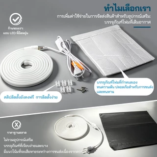 [ป้อนสวิตช์ปลั๊ก] 220v นีออน 3M-20M ไฟตกแต่งกันน้ำสำหรับห้องนั่งเล่นห้องนอนเพดานหัวเตียงงานแต่งงานตกแต่งแถบแสง