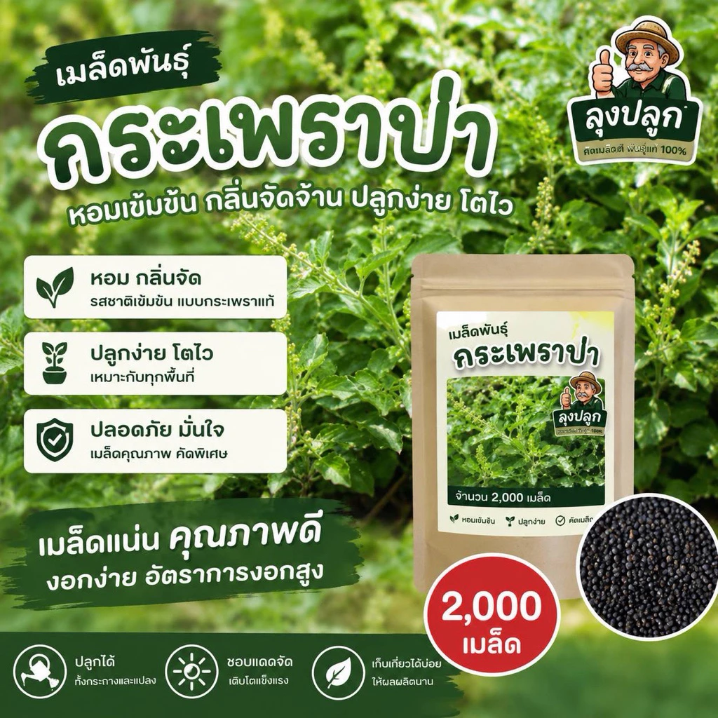 เมล็ดพันธุ์ กระเพราป่า 2,900 เมล็ด