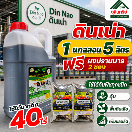 ส่งตรงจากโรงงาน Newดินเน่า 1แกลลอน 5ลิตรแถมปราบมาร 2ซอง สารปรับปรุงดิน แก้ดินแข็ง ดินดาน ดินเปรี้ยว เร่งราก ฟื้นต้นโทรม