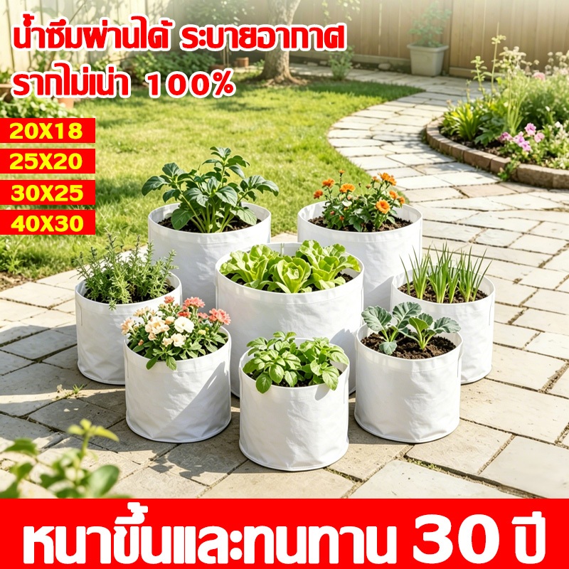 🌻กันรากเน่าหรืออับชื้นราก🌻ถุงเพาะปลูก ถุงเพาะปลูกแสนดี ถุงปลูกแสนดี ระบายอากาศ ผ่านน้ำ เพาะชำ ปลูกผัก