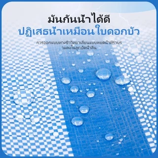 ผ้าใบกันฝน กันแดด ผ้าใบกันแดด (มีตาไก่) ผ้าใบพลาสติกเอนกประสงค์ ผ้าฟาง บลูชีท