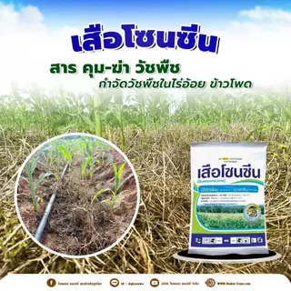 ยกลัง x20 kg.| เสือโซนซีน(มีโซไตรโอน 8% + อะทราซีน 80.8%) สูตรเม็ดแรงกว่า3เท่า ออกฤทธิ์ทั้งคุม+ฆ่า 1 กิโลกรัม