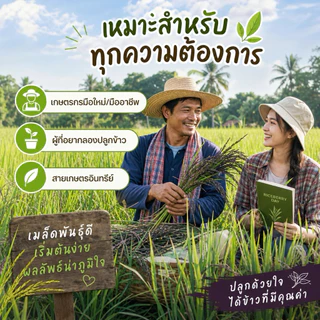 [คัดพิเศษ] เมล็ดพันธุ์ข้าวไรซ์เบอร์รี่ 100% พันธุ์แท้ ม.เกษตร กำแพงแสน อัตรางอกสูงมาก เมล็ดเต่งตึง ไม่ลีบ ไม่หัก ไร้สาร