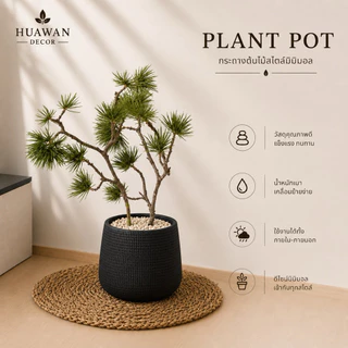 HUAWAN DECOR ต้นสน กิ่งสน ปลอม พร้อมกระถางมินิมอลสีขาวแถมฟรีหินโรยกระถาง