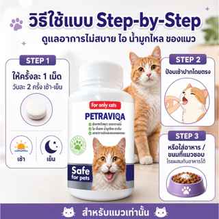 วิตามินเสริมภูมิ แมวไม่สบาย ไอ จาม มีน้ำมูก บำรุงการหายใจ กลับมาแข็งแรง