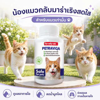 วิตามินเสริมภูมิ แมวไม่สบาย ไอ จาม มีน้ำมูก บำรุงการหายใจ กลับมาแข็งแรง
