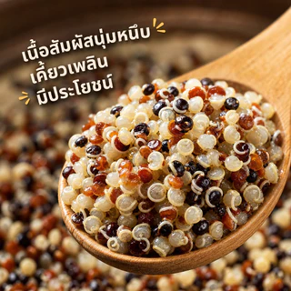 ควินัว 3 สี ออร์แกนิก 1 กิโลกรัม | คีโต คลีน | โปรตีนสูง เส้นใยอาหารสูง | Tri-Color Quinoa 100% Natural หุงง่าย 15 นาที