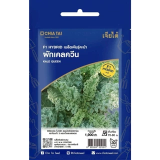 เจียไต๋ (Easy) เมล็ดพันธุ์ เคลควีน ขนาด5กรัม ประมาณ923เมล็ด Kale ผักเคล เคล เมล็ดพันธุ์พืช เมล็ดผัก ปลูกผักสวนครัว