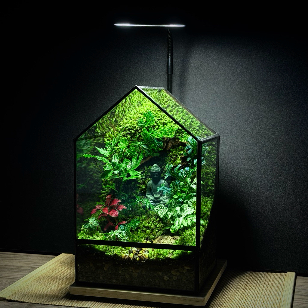 พร้อมส่ง Natural Moss Wall Glasshouses สวนทรงบ้าน Geometric