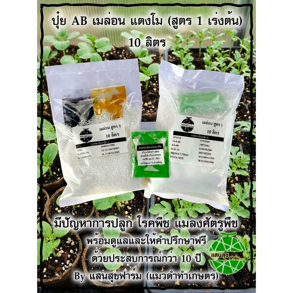 ปุ๋ย AB เมล่อน แตงกวาญีุ่่ปุ่น ฟักทองบัตเตอร์นัท สูตร 1 บำรุงต้นใบแขนง สำหรับปลูกช่วง 10-35 วัน