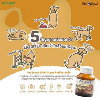 Pet​ Select Senior Care บรรจุ 30 เม็ด ฉะลอวัย ต่อต้านอนุมูลอิสระ บำรุงกระดูก เสริมภูมิ ป้องกันมะเร็ง