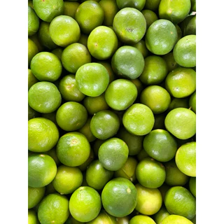 มะนาว แป้นรำไพสวนแท้ เกรดAAA เบอร์400/500/600 สวย ใหญ่ กลาง เล็ก เก็บสดใหม่วันต่อวัน จากสวนดำเนิน บ้านแพ้ว