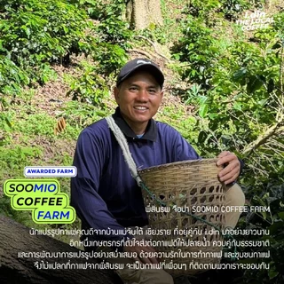 SINTHOP สินธพ (AWARDED FARM) (15.08.69) /ANAEROBIC NATURAL SLOWDRY PROCESS / เมล็ดกาแฟคั่ว เชียงราย